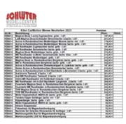 Bild von Kibri_CarMotion_Neuheiten_2023_Preis_(0,6 MB)