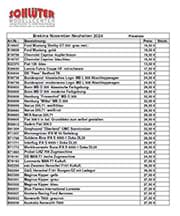Picture of Brekina_Neuheiten_November_2024_Preis_(0,5 MB)