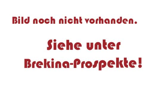 Bild von Vorbestellung Citroen DS Break -pastelgrün/hellgrau- ***Neuheiten Juli 2026***